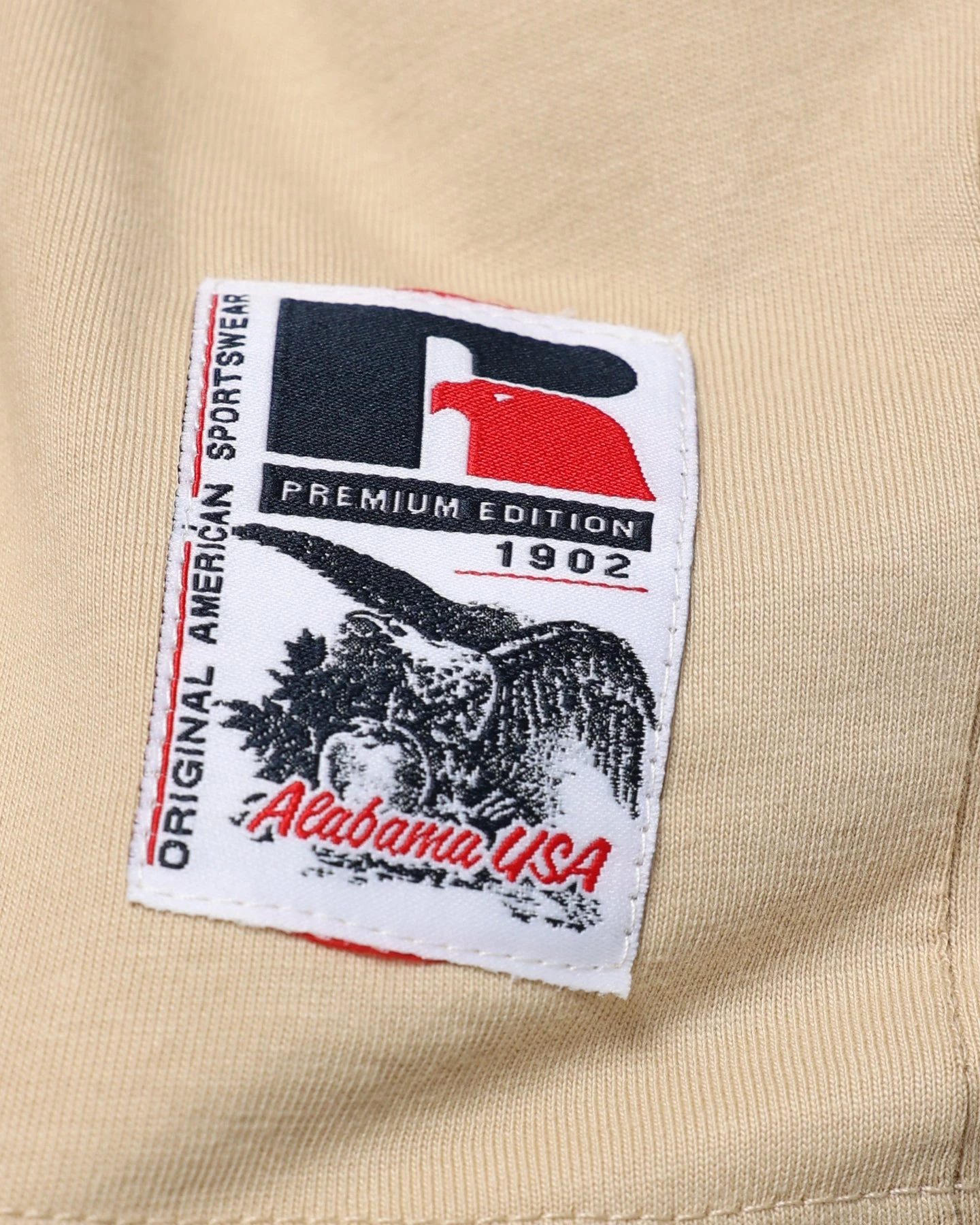 Russell Athletic Oversized T-Shirt Stone 9 Russell Athletic Oversized T-Shirt Stone - Image 7